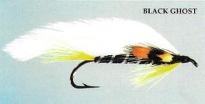 Black Ghost