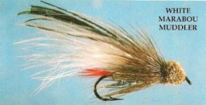 White Marabou Muddler