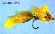 Dahlberg Diver