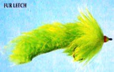 Fur Leech