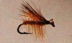 Elk Wing Caddis