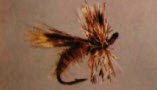Chunck Caddis
