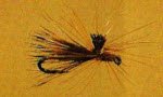Parachute Elkwing Caddis
