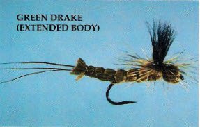 Green Drake (Extended Body)