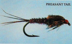 Pheasant Tail
