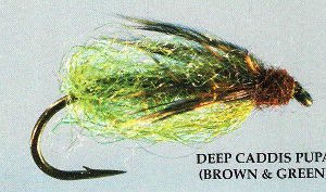 Deep Caddis Pup