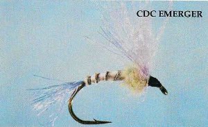 CDC Emerger