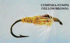 Compara-Nymph