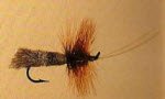 Goddard Caddis Umpqua