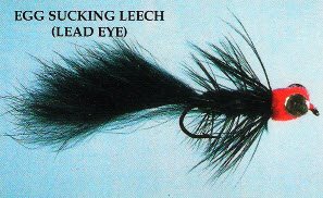 Egg Sucking Leech (Lead Eye)