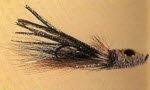 Bucktail Muddler