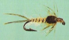 Catskill March Brown